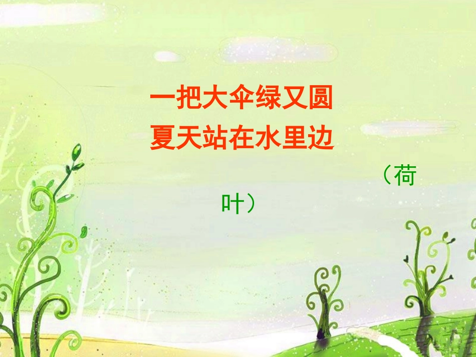 《荷叶伞》PPT课件[冀教版一年级语文下册]_第2页