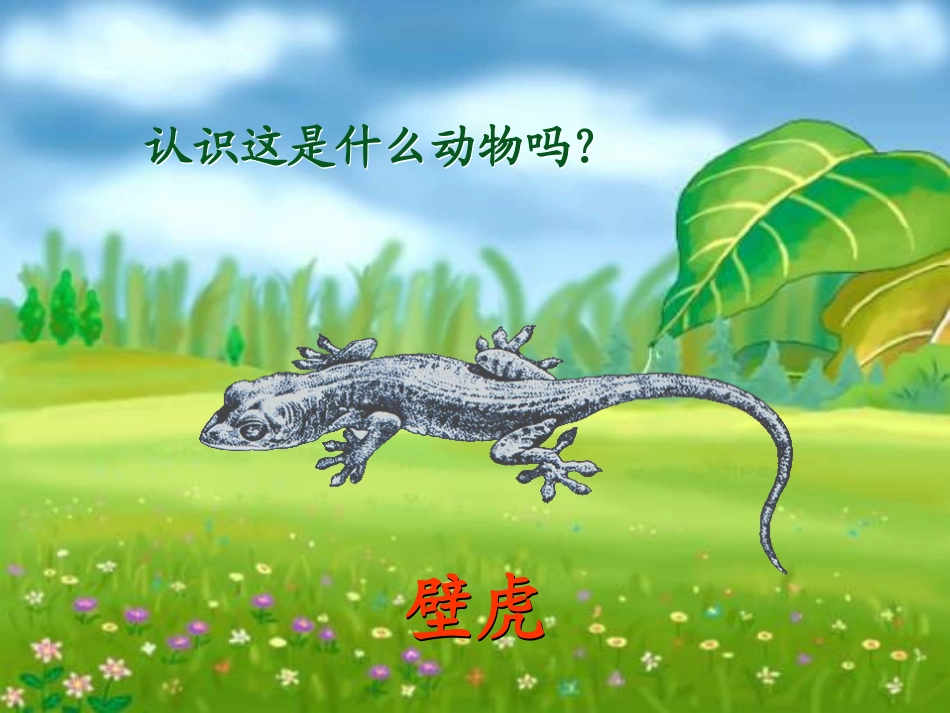 《小壁虎借尾巴》PPT课件[冀教版一年级语文下册]_第2页