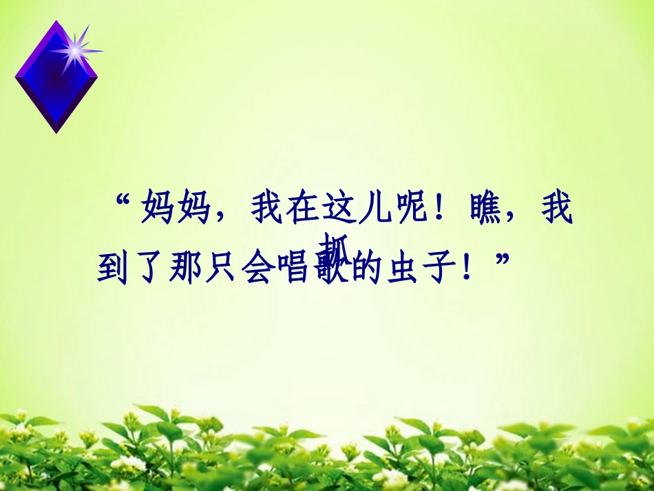 《装满昆虫的衣袋》PPT课件[苏教版五年级语文上册]_第3页