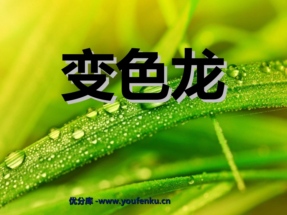 《变色龙》PPT课件[苏教版五年级语文上册]_第1页