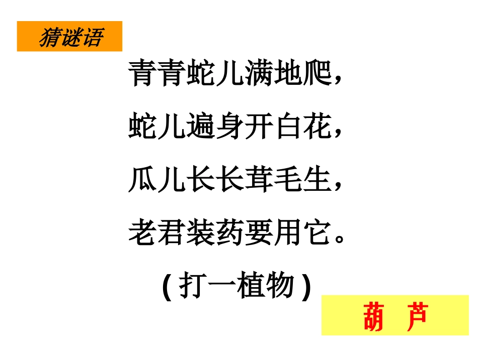 《我要的是葫芦》PPT课件[冀教版二年级语文上册]_第1页
