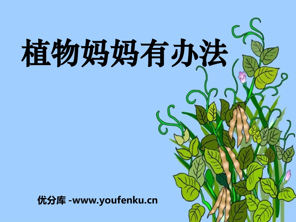 《植物妈妈有办法》PPT课件[冀教版二年级语文上册]_第1页