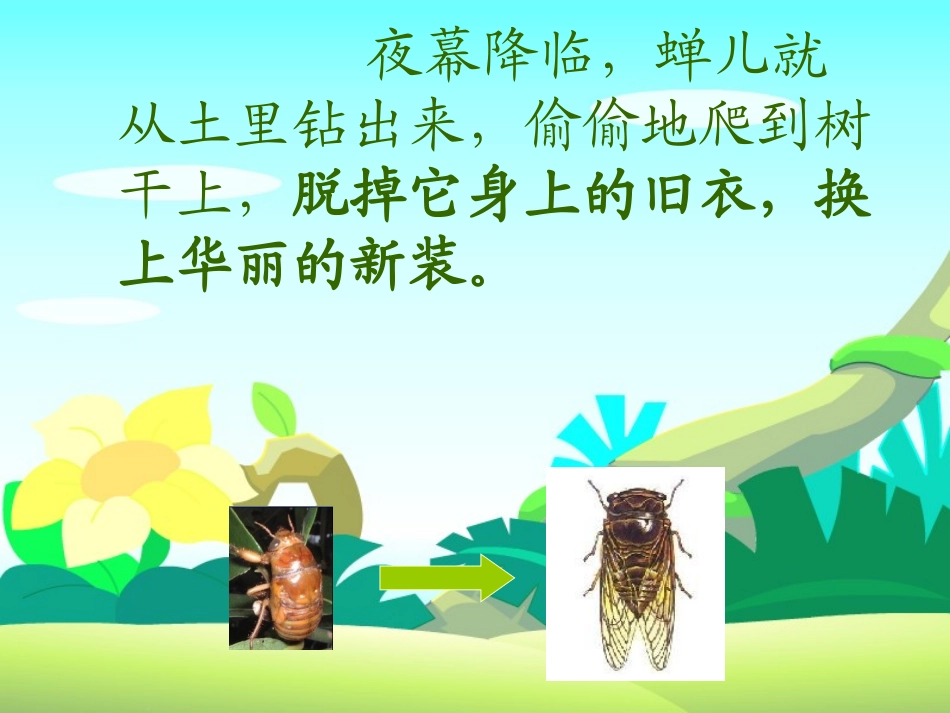《金蝉脱壳》PPT课件[苏教版五年级语文上册]_第2页
