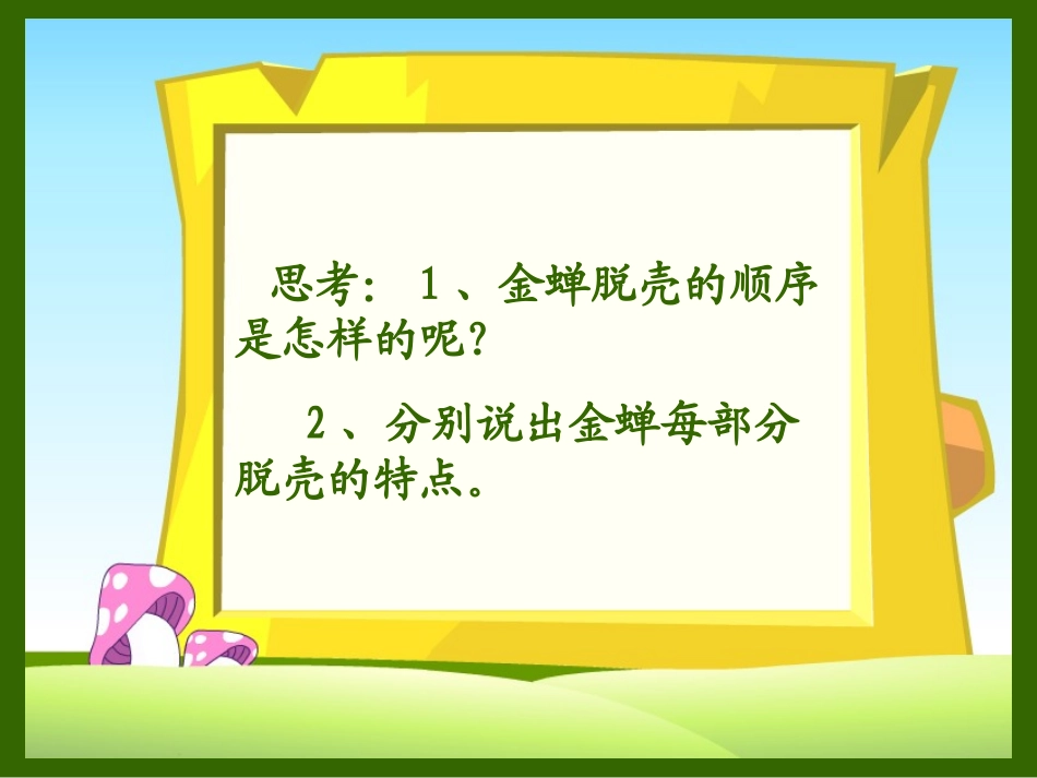 《金蝉脱壳》PPT课件[苏教版五年级语文上册]_第3页