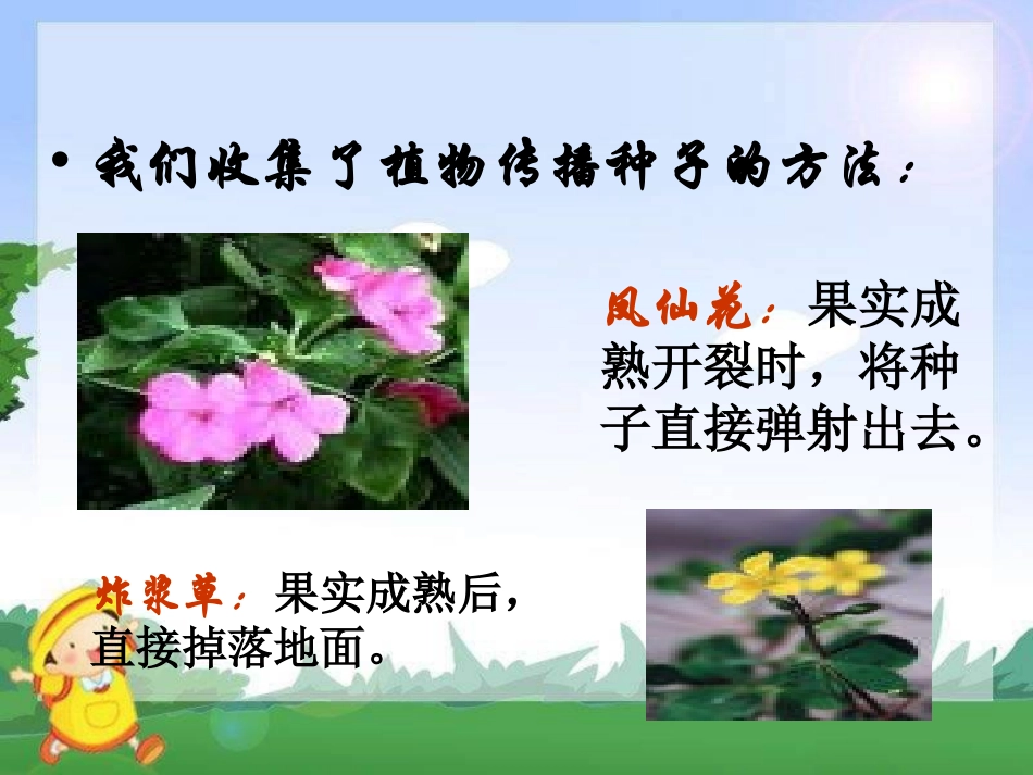 《植物妈妈有办法》PPT课件[冀教版二年级语文上册]_第3页
