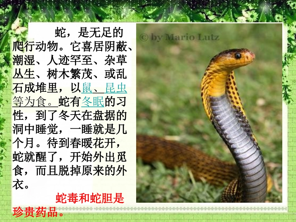 《我是你的朋友》PPT课件[冀教版二年级语文上册]_第2页