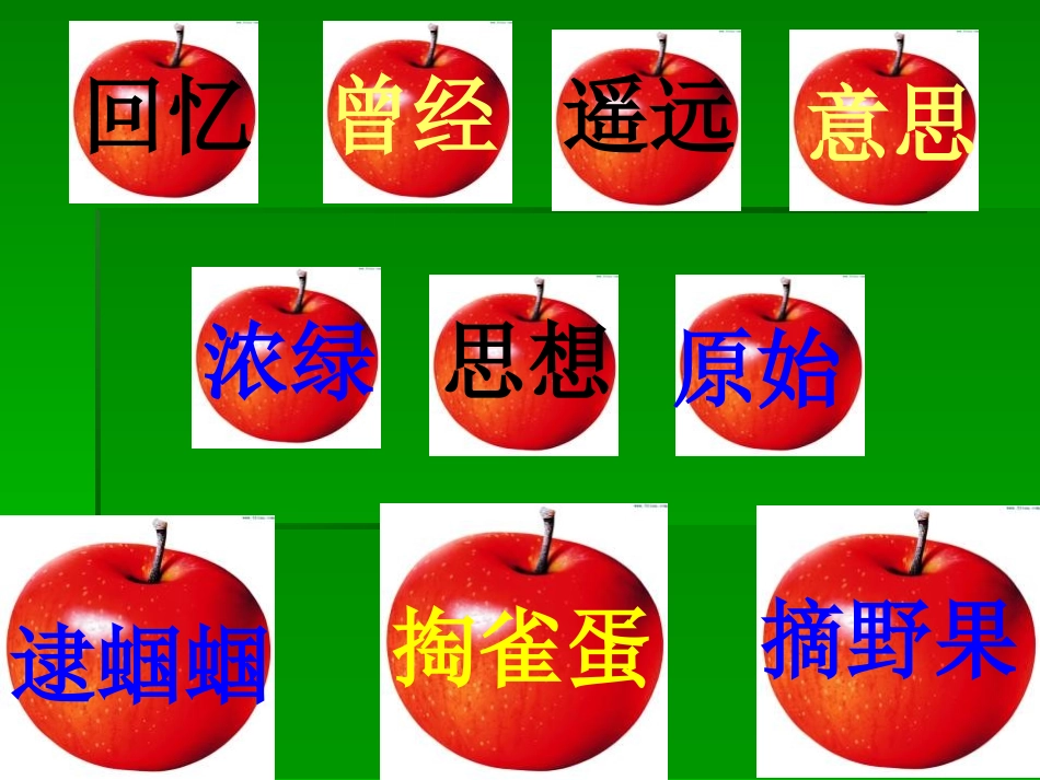 《祖先的摇篮》PPT课件[冀教版二年级语文下册]_第3页
