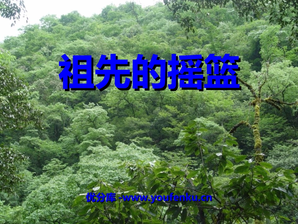 《祖先的摇篮》PPT课件[冀教版二年级语文下册]_第1页