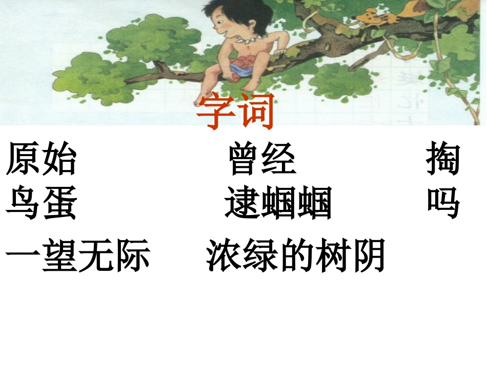 《祖先的摇篮》PPT课件[冀教版二年级语文下册]_第3页