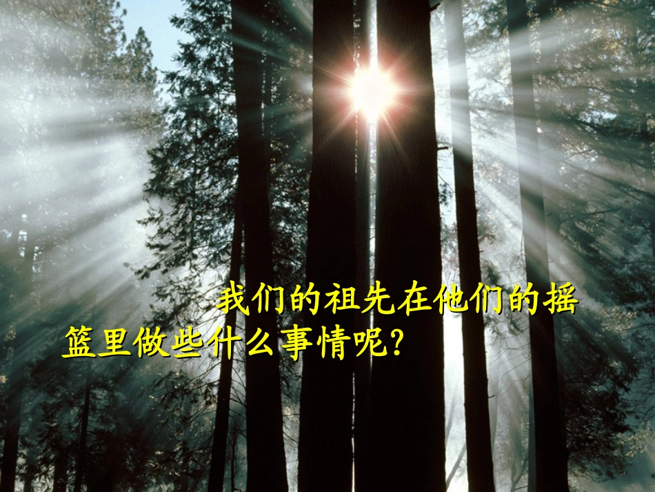 《祖先的摇篮》PPT课件[冀教版二年级语文下册]_第3页