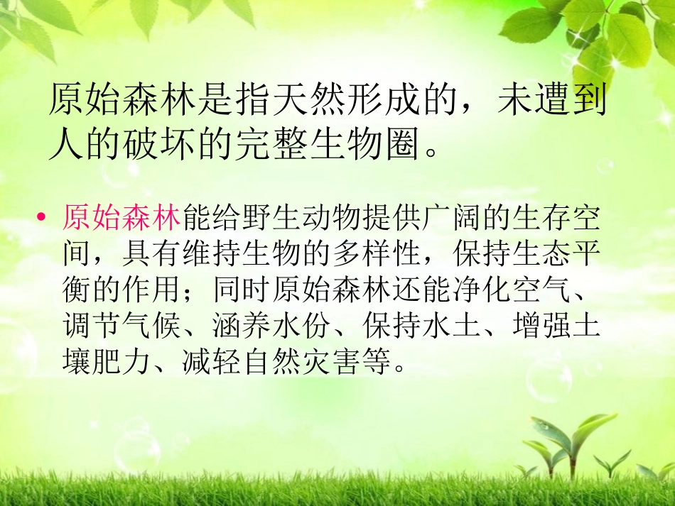 《祖先的摇篮》PPT课件[冀教版二年级语文下册]_第3页