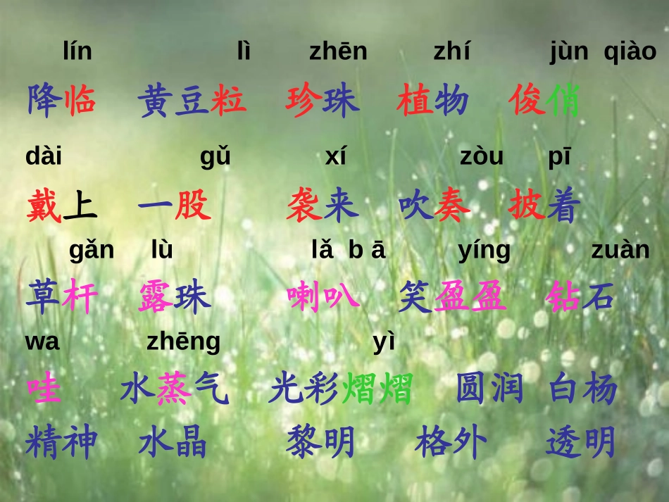 《小露珠》PPT课件[冀教版二年级语文下册]_第2页