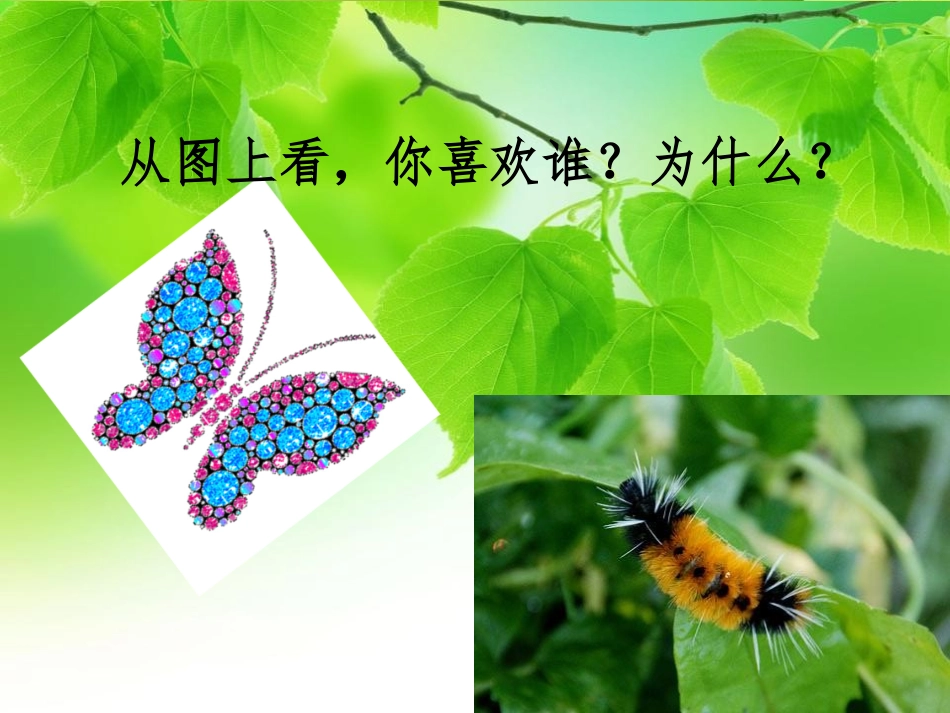 《小蝴蝶和毛毛虫》PPT课件[冀教版二年级语文下册]_第2页