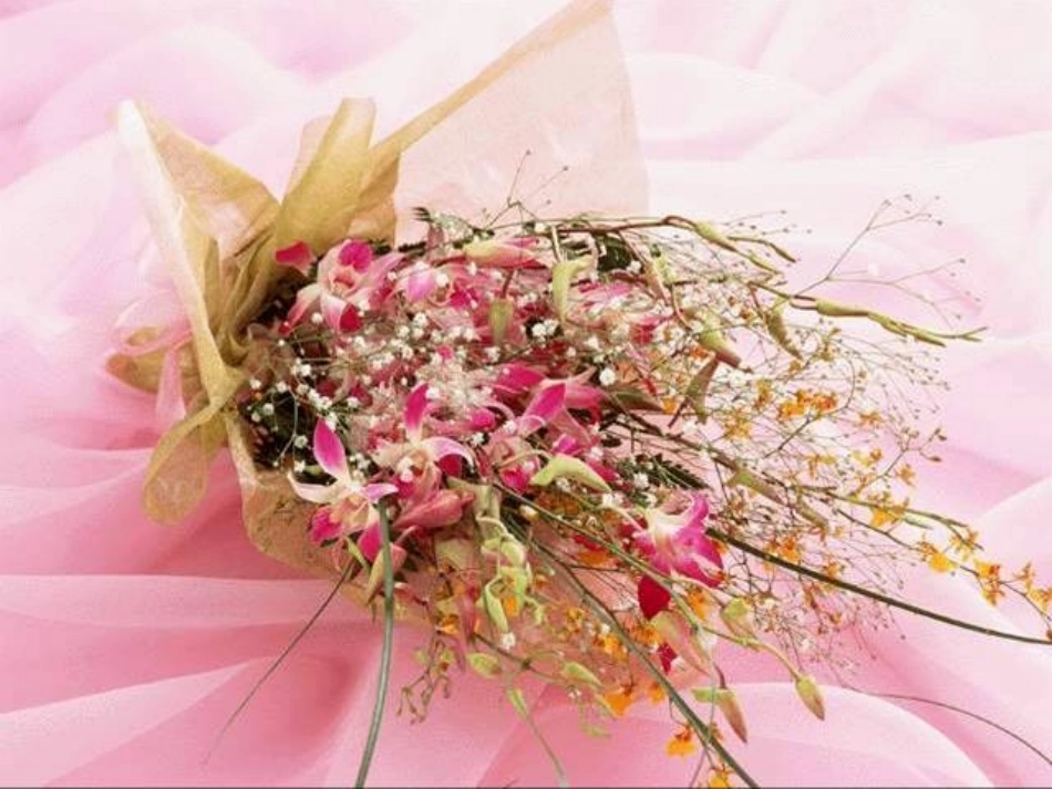 《一路鲜花》PPT课件[冀教版二年级语文下册]_第3页