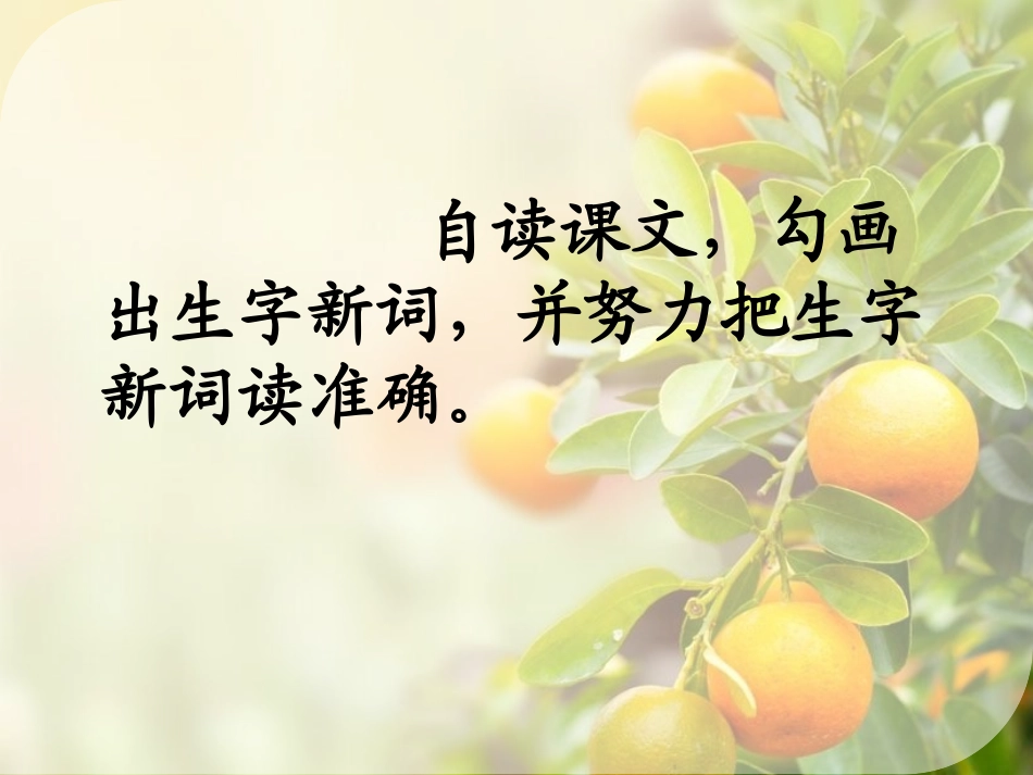 《树上的橘子》PPT课件[冀教版二年级语文下册]_第1页