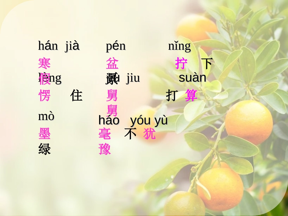《树上的橘子》PPT课件[冀教版二年级语文下册]_第3页
