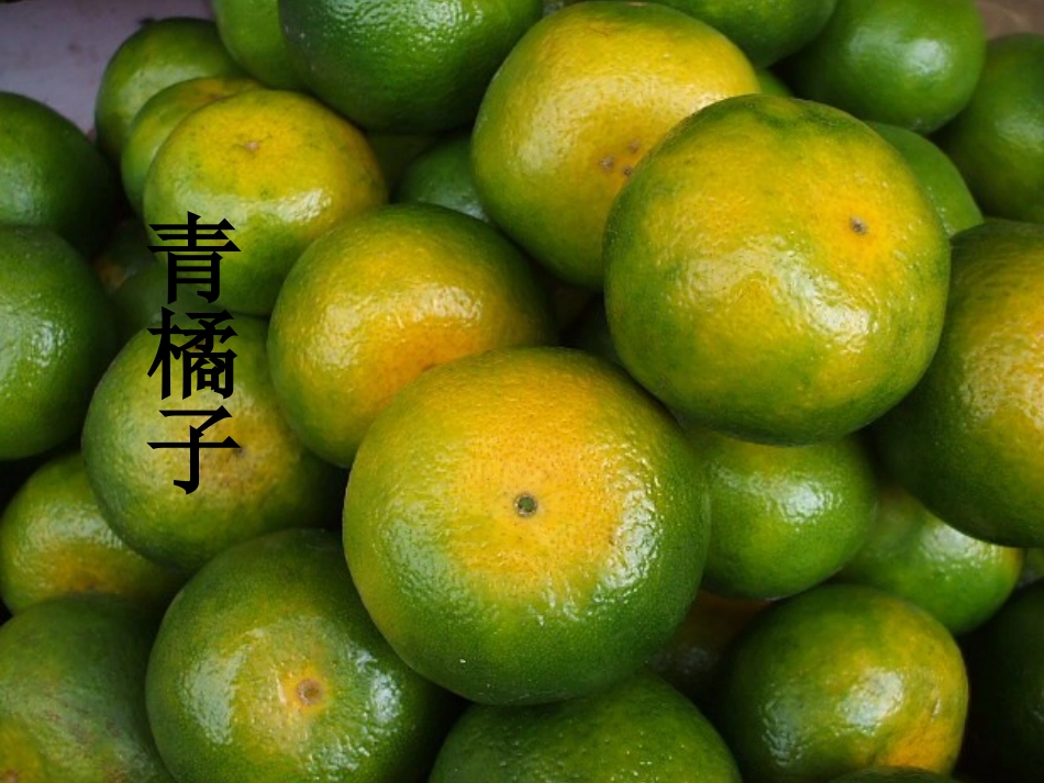 《树上的橘子》PPT课件[冀教版二年级语文下册]_第2页