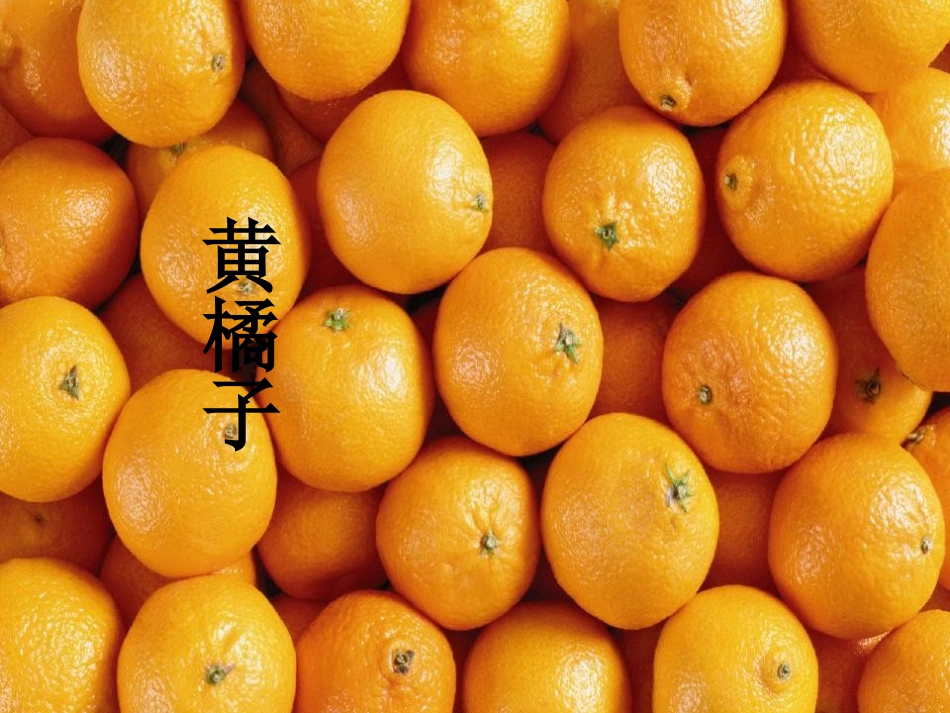 《树上的橘子》PPT课件[冀教版二年级语文下册]_第3页
