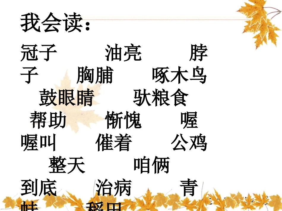 《美丽的公鸡》PPT课件[冀教版二年级语文下册]_第2页