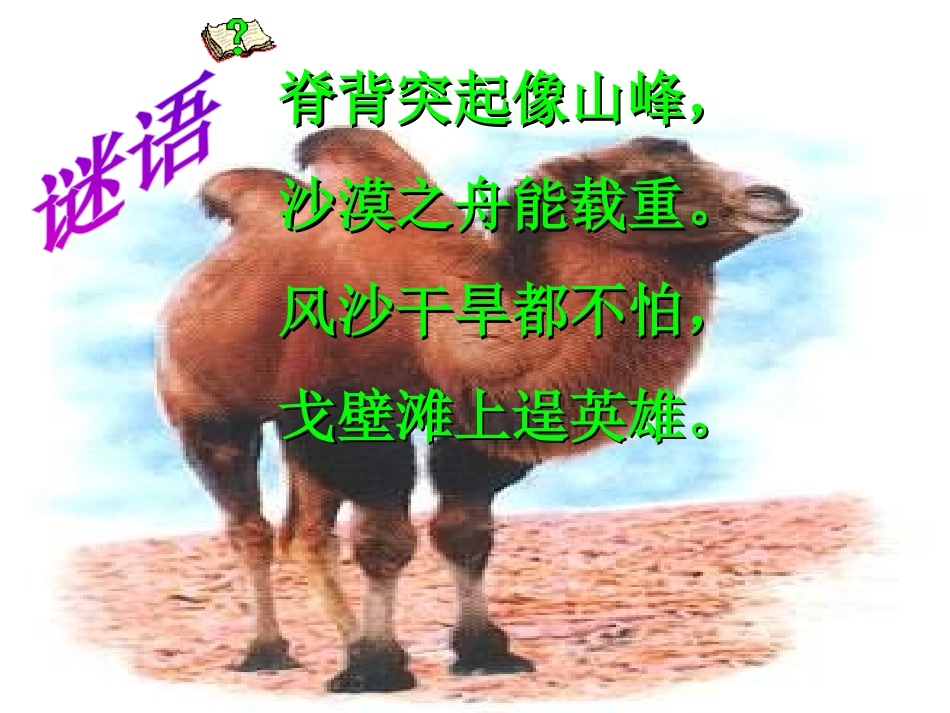 《找骆驼》PPT课件[冀教版二年级语文下册]_第2页