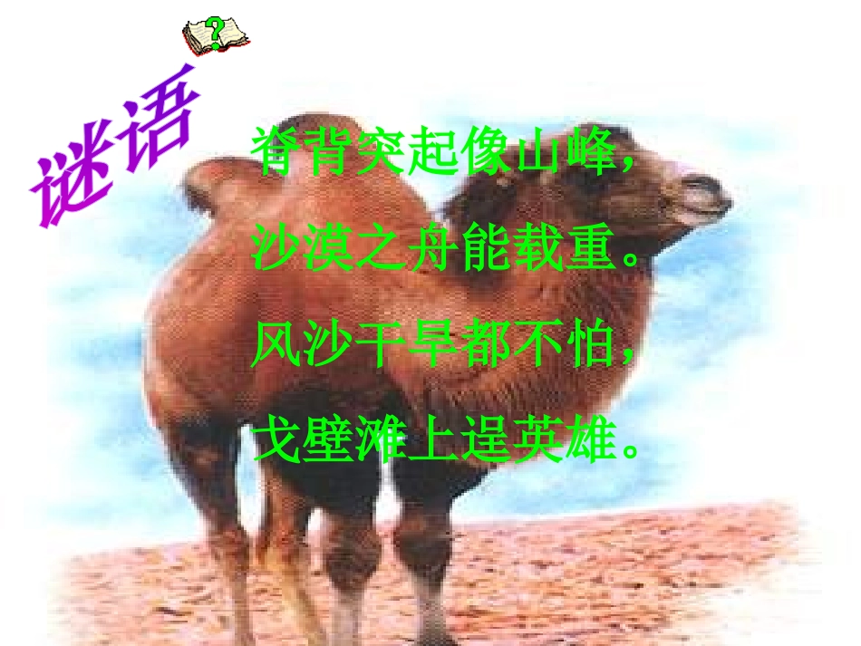 《找骆驼》PPT课件[冀教版二年级语文下册]_第2页