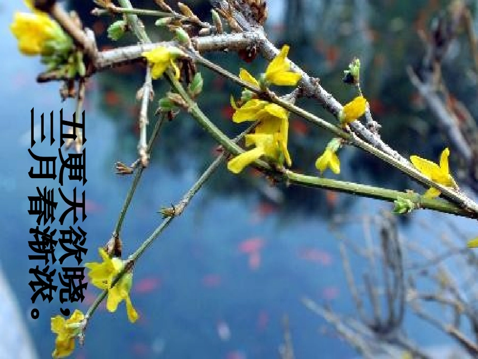 《春日晨景》PPT课件[冀教版二年级语文下册]_第3页