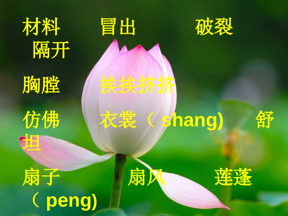 《诗的材料》PPT课件[冀教版三年级语文上册]_第2页