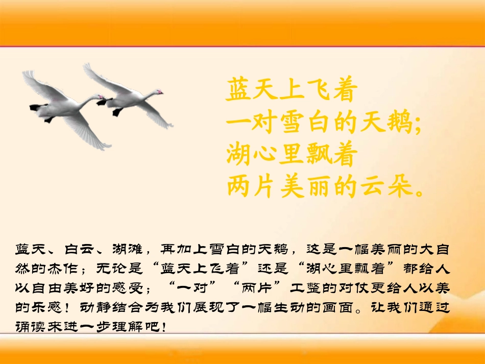 《湖滩上,有一对天鹅》PPT课件[冀教版三年级语文上册]_第2页