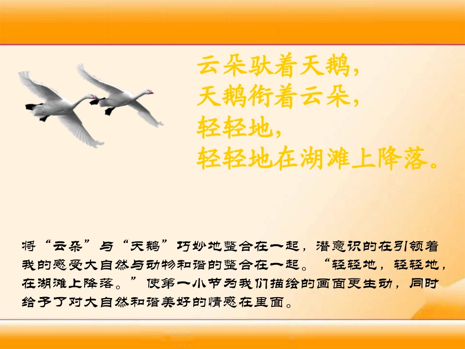 《湖滩上,有一对天鹅》PPT课件[冀教版三年级语文上册]_第3页