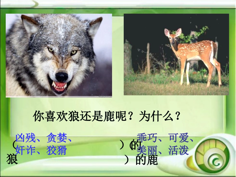 《狼和鹿》PPT课件[冀教版三年级语文上册]_第2页