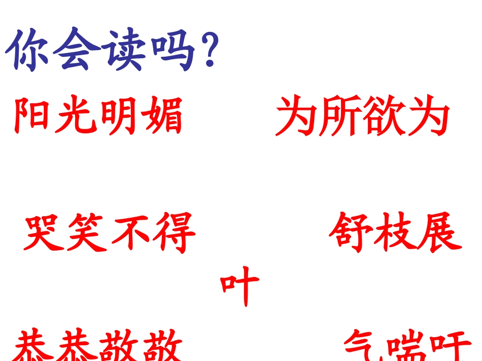 《会变色的报春花》PPT课件[冀教版三年级语文上册]_第2页