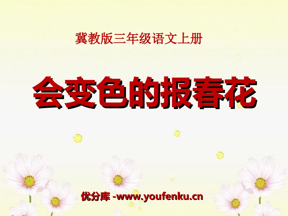 《会变色的报春花》PPT课件[冀教版三年级语文上册]_第1页