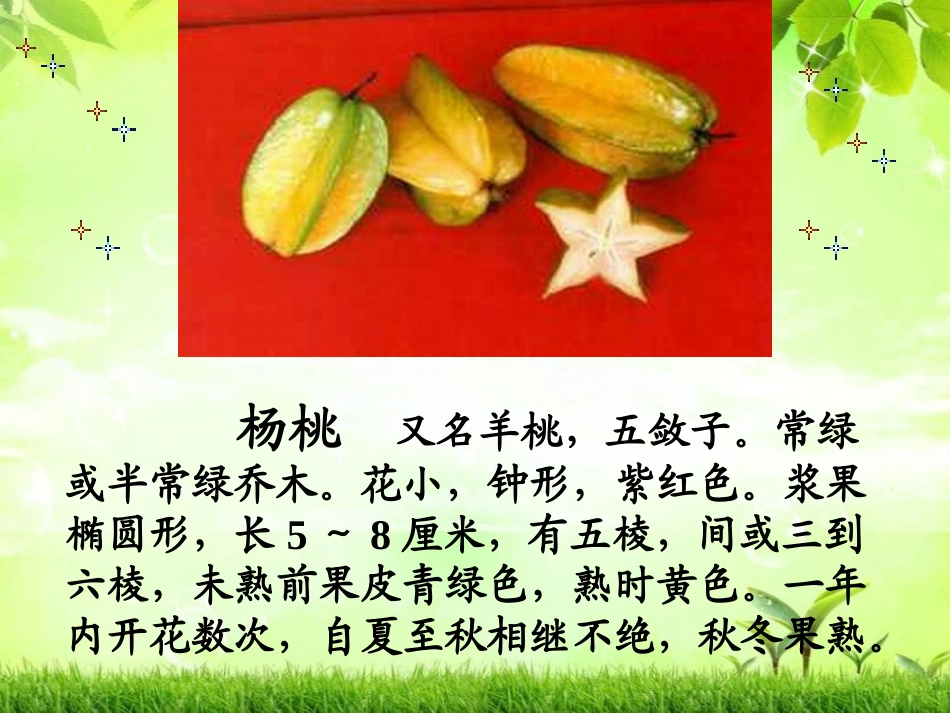 《画杨桃》PPT课件[冀教版三年级语文上册]_第2页