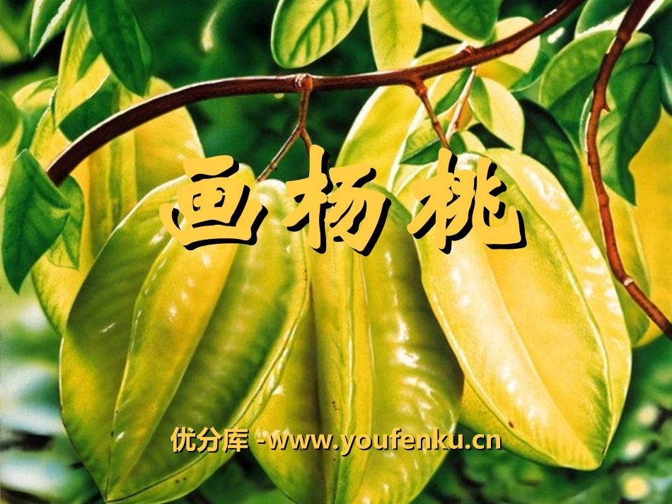 《画杨桃》PPT课件[冀教版三年级语文上册]_第1页