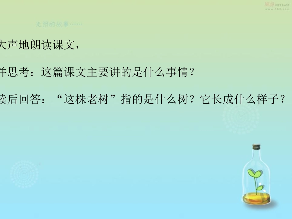 《一株老树和两个怪人》PPT课件[冀教版三年级语文上册]_第3页