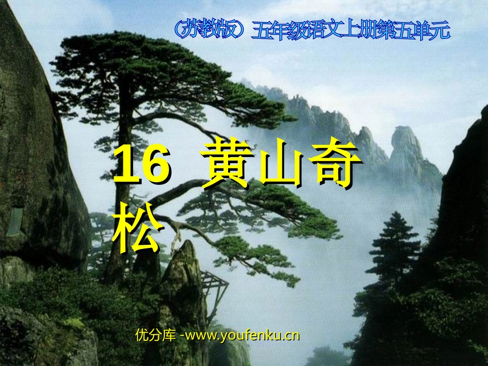 《黄山奇松》PPT课件[苏教版五年级语文上册]_第1页