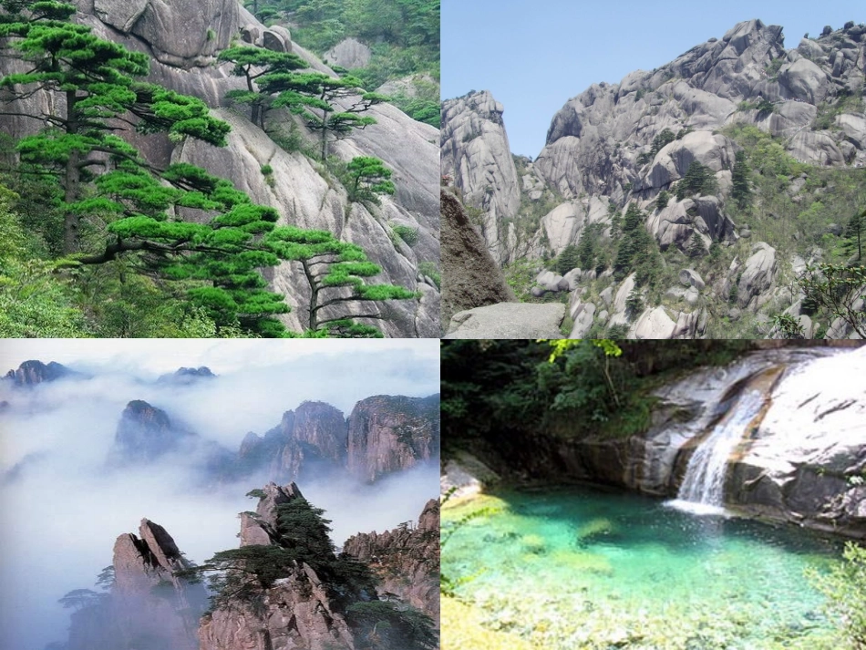 《黄山奇松》PPT课件[苏教版五年级语文上册]_第2页