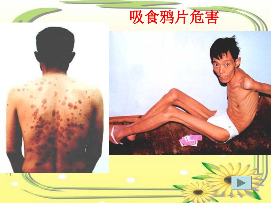 《虎门销烟》PPT课件[冀教版三年级语文上册]_第2页