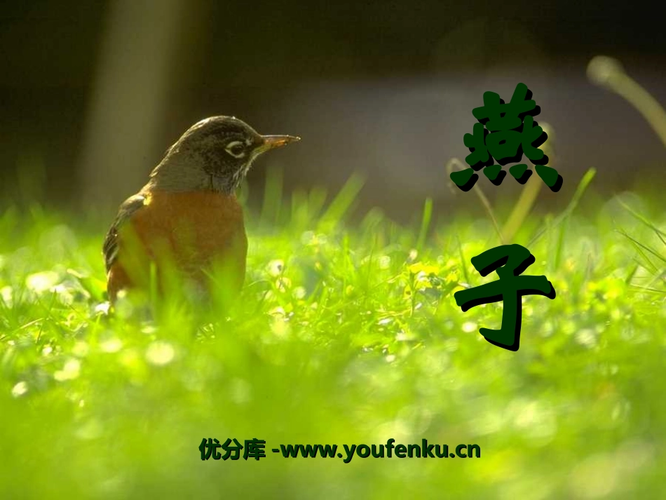 《燕子》PPT课件[冀教版三年级语文下册]_第1页
