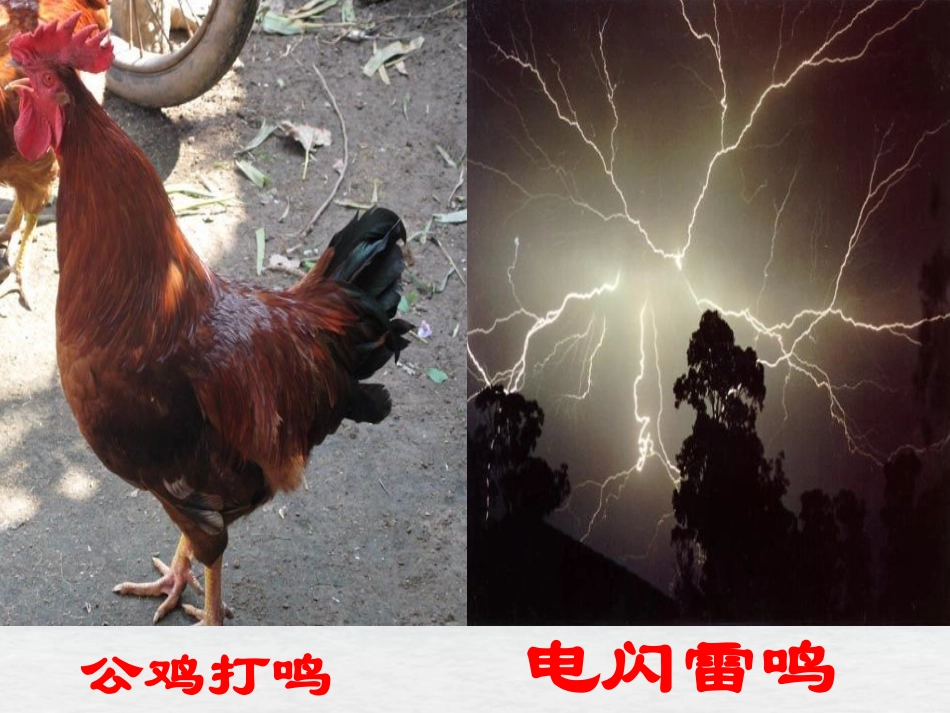 《大自然的语言》PPT课件1[冀教版三年级语文下册]_第2页