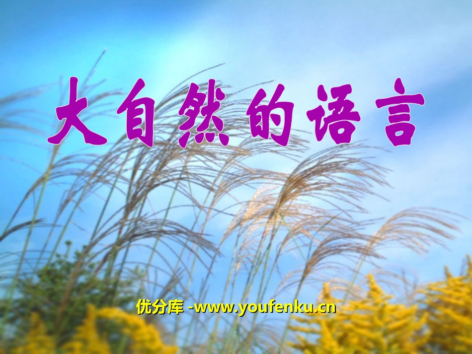 《大自然的语言》PPT课件[冀教版三年级语文下册]_第1页