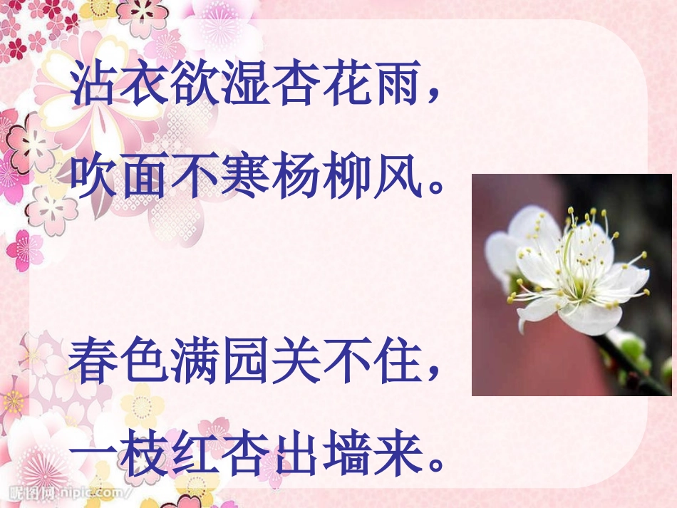 《第一朵杏花》PPT课件[冀教版三年级语文下册]_第2页