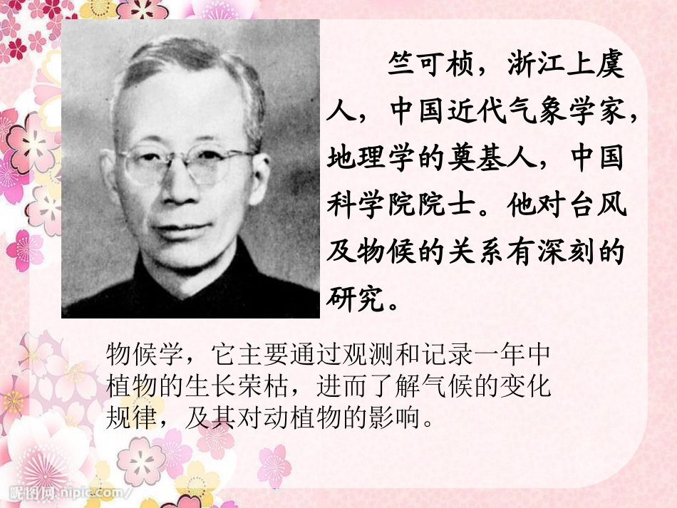 《第一朵杏花》PPT课件[冀教版三年级语文下册]_第3页