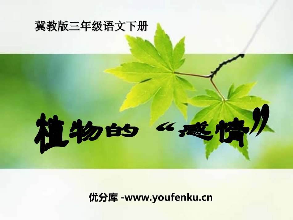 《植物的感情》PPT课件[冀教版三年级语文下册]_第1页