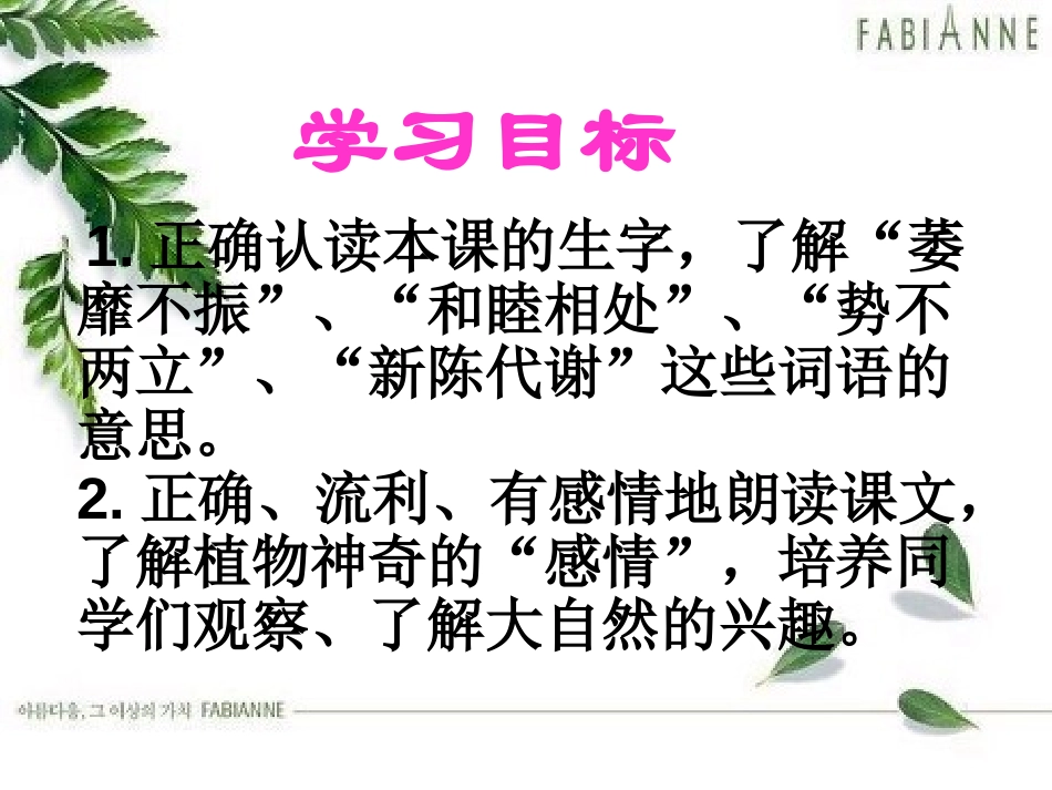 《植物的感情》PPT课件[冀教版三年级语文下册]_第2页
