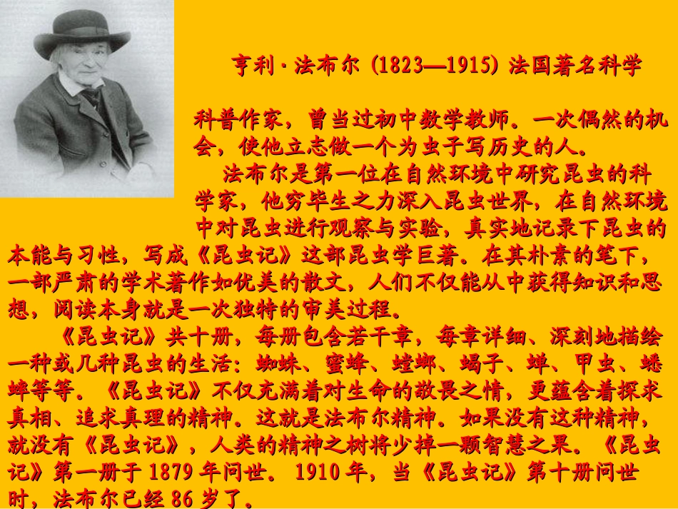 《蜜蜂》PPT课件[冀教版三年级语文下册]_第2页