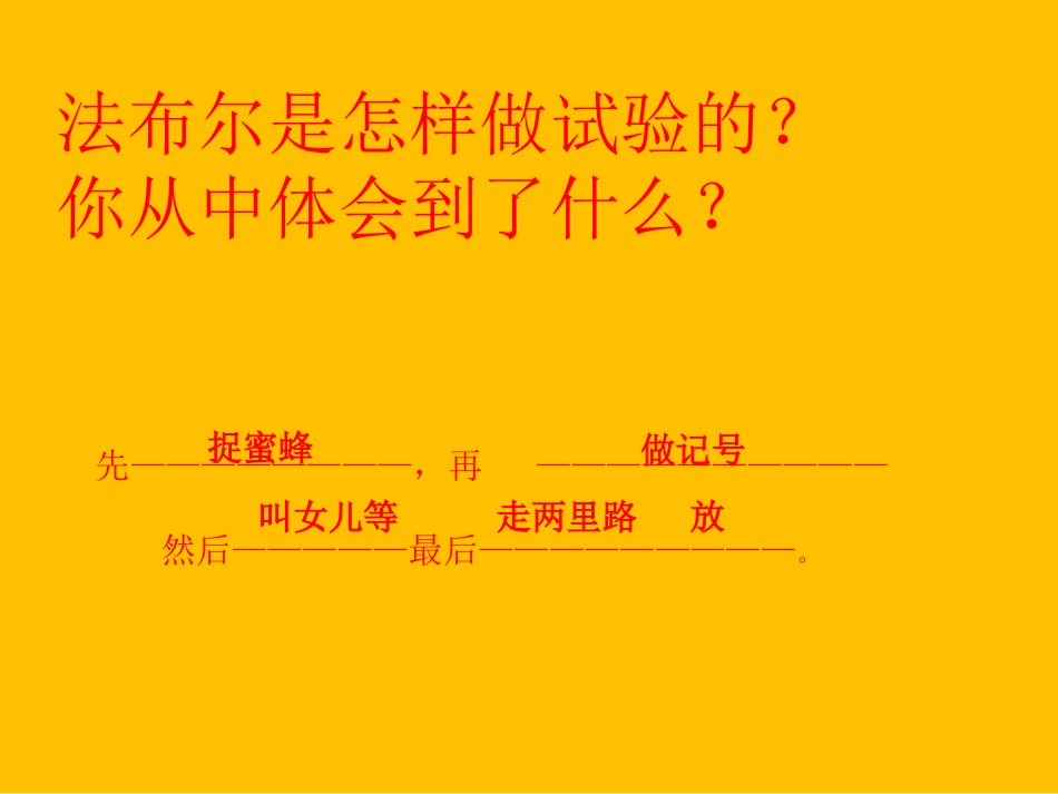 《蜜蜂》PPT课件[冀教版三年级语文下册]_第3页