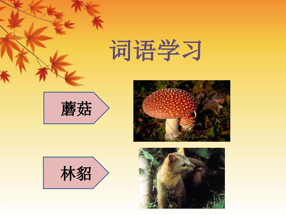 《一个新家》PPT课件[冀教版三年级语文下册]_第2页