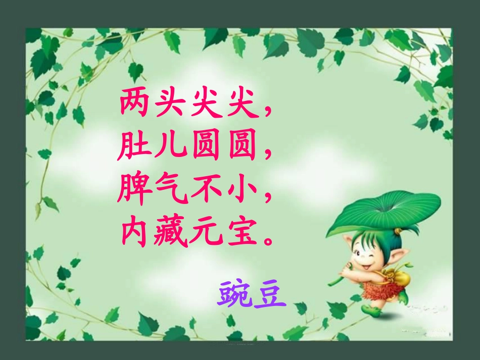 《一颗小碗豆》PPT课件[冀教版三年级语文下册]_第2页