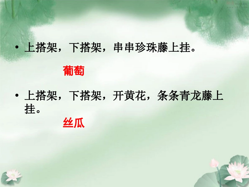 《爬山虎的脚》PPT课件[冀教版四年级语文上册]_第2页